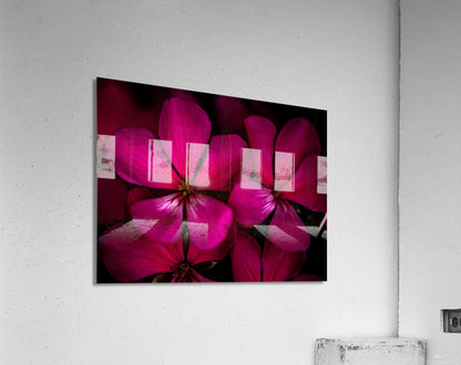 Acrylic Print