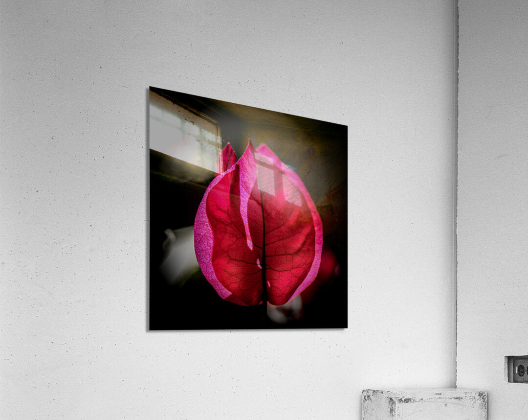 Acrylic Print