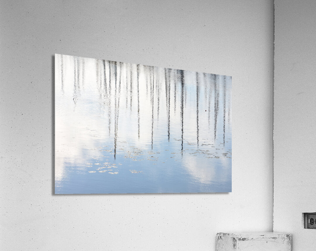 Acrylic Print