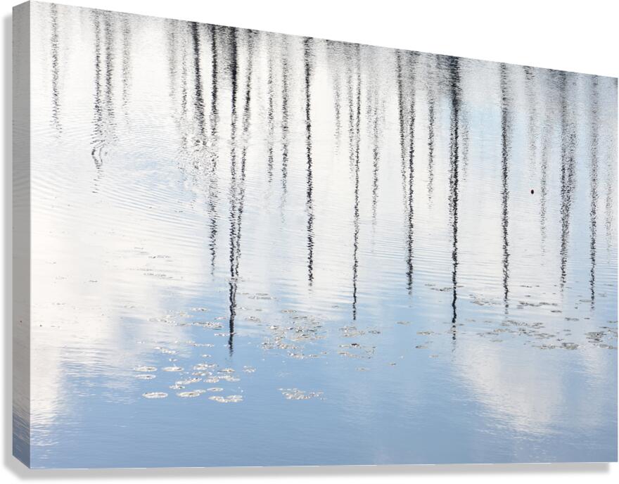 Giclée Stretched Canvas Print