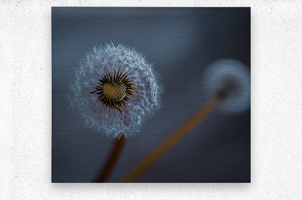 Brushed Metal Print